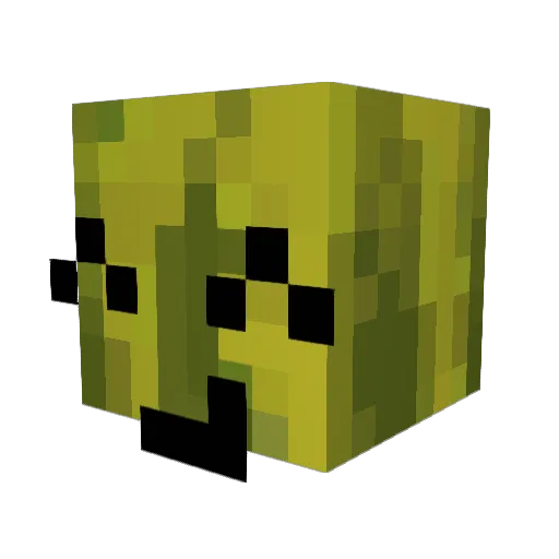 Cloverdude Minecraft avatar head, 3D render