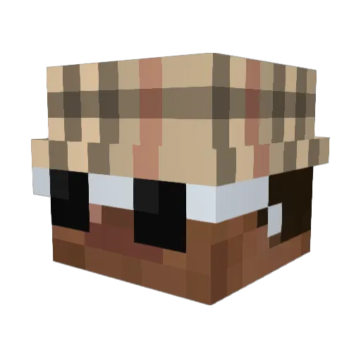 Clovering Minecraft avatar head, 3D render