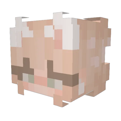 Cloverixx Minecraft avatar head, 3D render