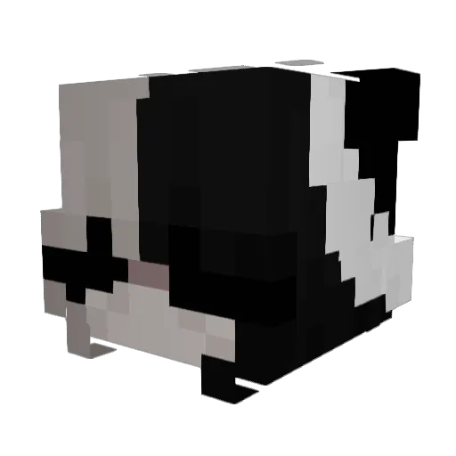 Clovix_ Minecraft avatar head, 3D render