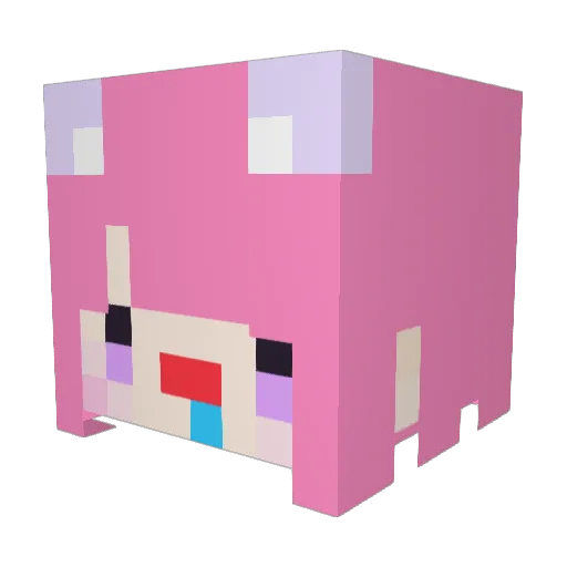 Clowey323 Minecraft avatar head, 3D render
