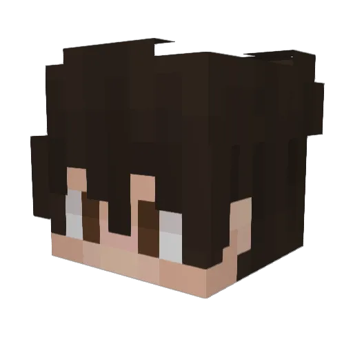 Clown13aby Minecraft avatar head, 3D render