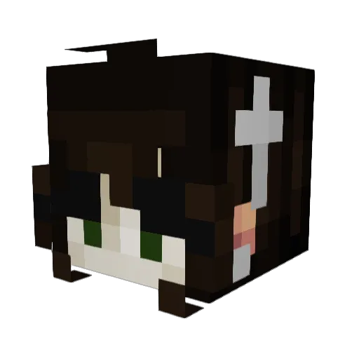 ClownDomain Minecraft avatar head, 3D render