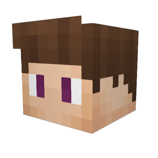 Clownfisch Minecraft avatar head, 3D render