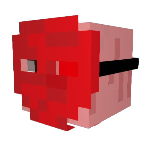 ClowwNorth Minecraft avatar head, 3D render