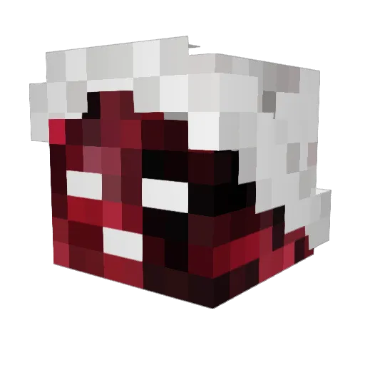 Clu24 Minecraft avatar head, 3D render