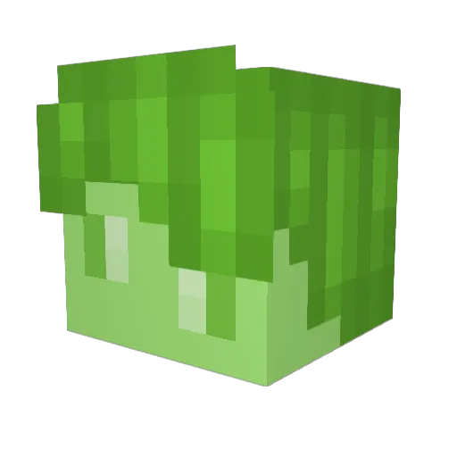 Cluelessfel Minecraft avatar head, 3D render
