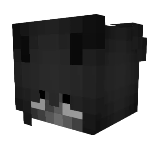 Clumsobert Minecraft avatar head, 3D render
