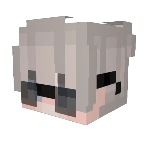 Clumsy253 Minecraft avatar head, 3D render