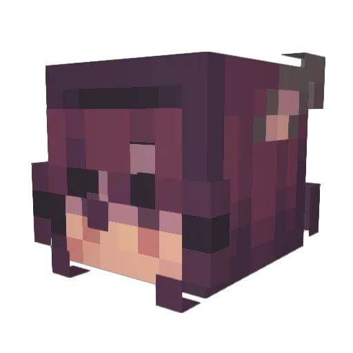 Clumsy_Corvid Minecraft avatar head, 3D render