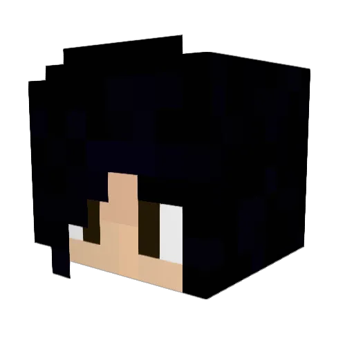 Clumsy_Penguinn Minecraft avatar head, 3D render