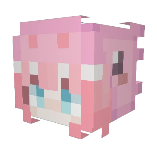 Clumsy__ Minecraft avatar head, 3D render