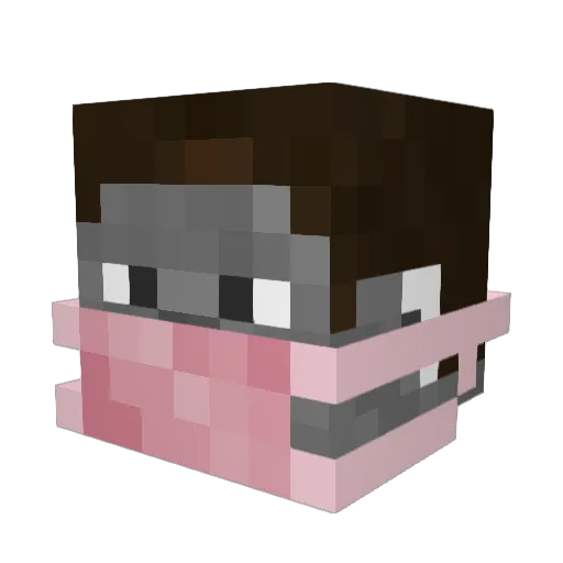 ClusterError Minecraft avatar head, 3D render