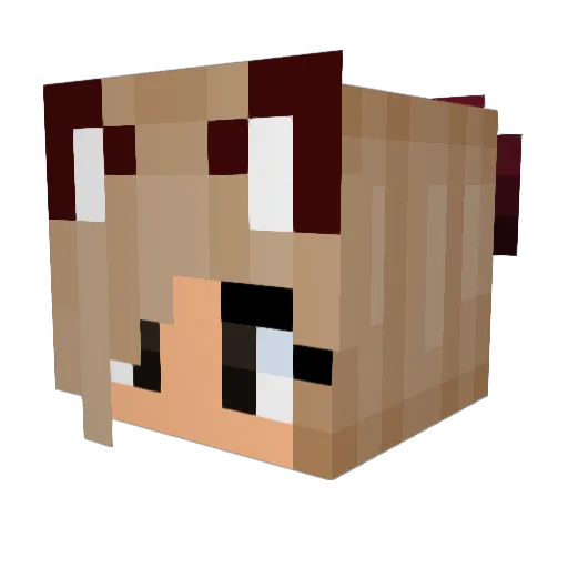 Cluster_Storm Minecraft avatar head, 3D render