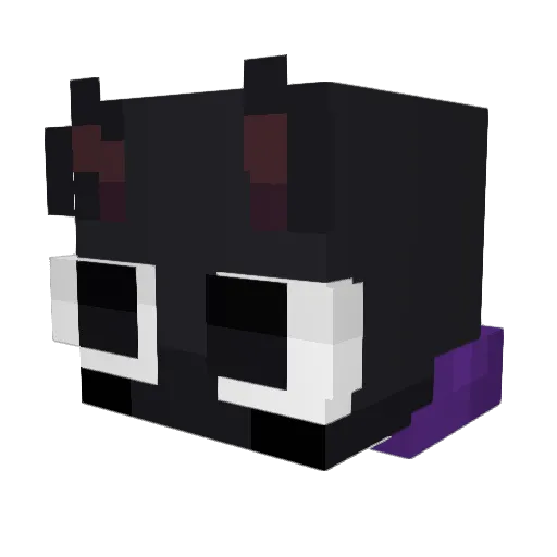 Clwzyyy Minecraft avatar head, 3D render