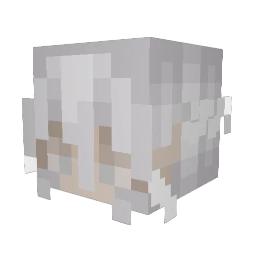 Clxrxd Minecraft avatar head, 3D render