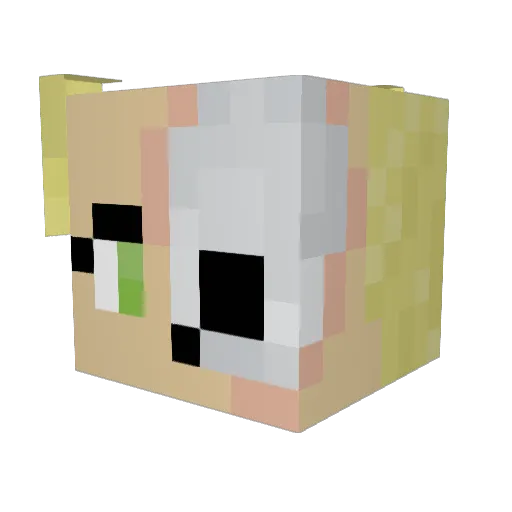 Clynnmc Minecraft avatar head, 3D render