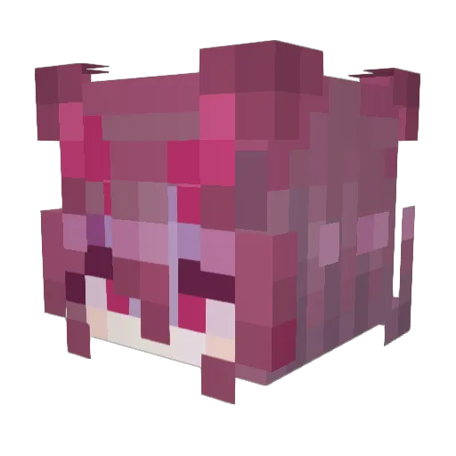 Cmiusoi Minecraft avatar head, 3D render