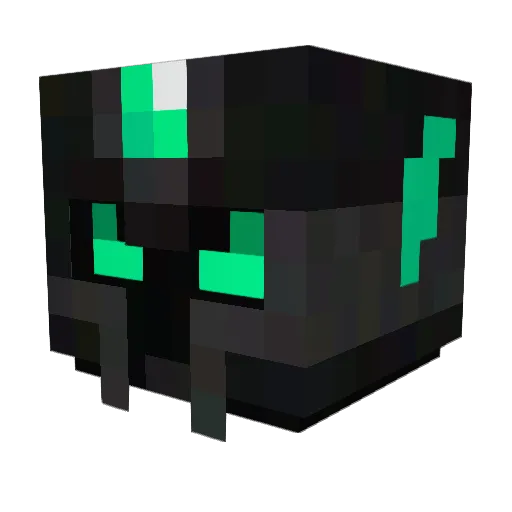 Cmrdz Minecraft avatar head, 3D render