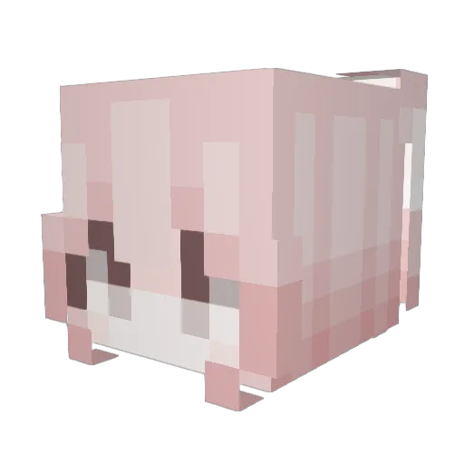 CnDotKing Minecraft avatar head, 3D render