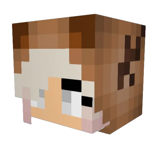 Cnfrey Minecraft avatar head, 3D render