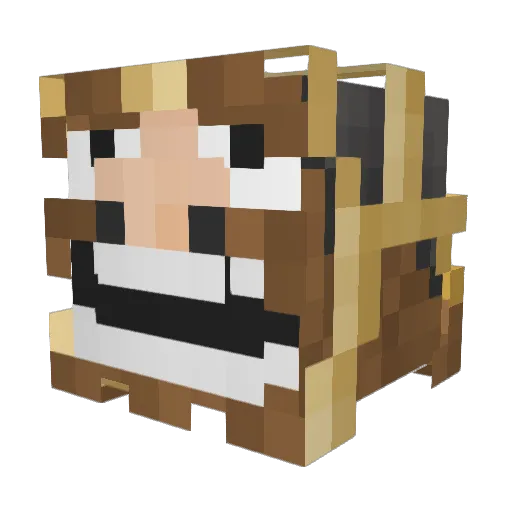 Cnopius Minecraft avatar head, 3D render