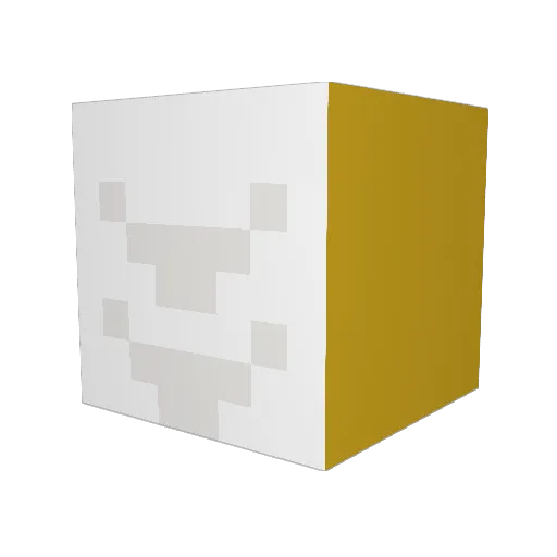 Co0lbird Minecraft avatar head, 3D render