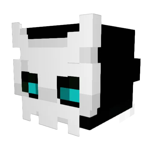 Co4e Minecraft avatar head, 3D render