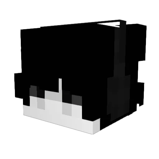 Co6aKa Minecraft avatar head, 3D render