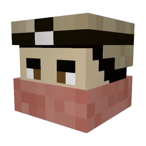 CoCaaBeAnSs Minecraft avatar head, 3D render
