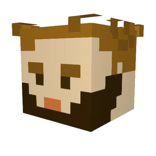 CoCoCubed Minecraft avatar head, 3D render