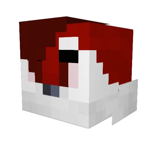 CoCoNO57 Minecraft avatar head, 3D render
