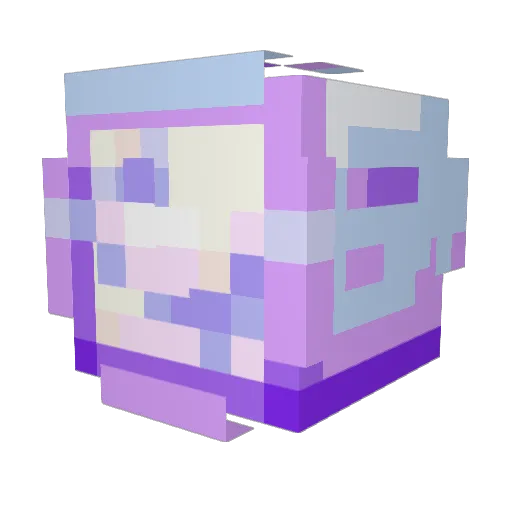 CoCoSlays4 Minecraft avatar head, 3D render