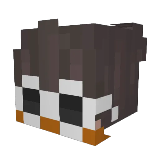 CoIlZ Minecraft avatar head, 3D render