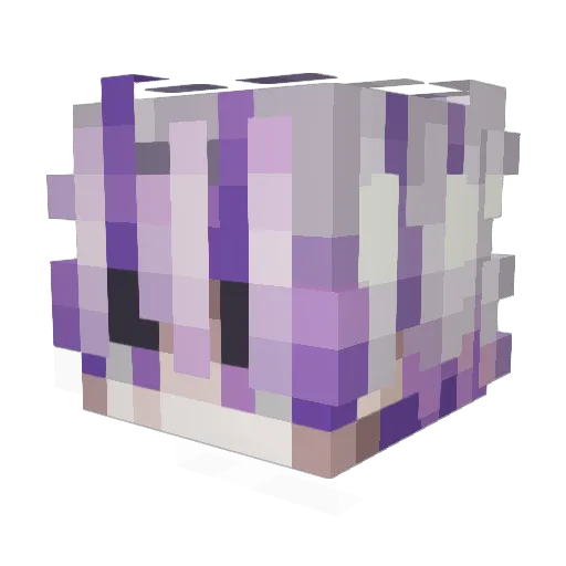 CoJoeYed Minecraft avatar head, 3D render