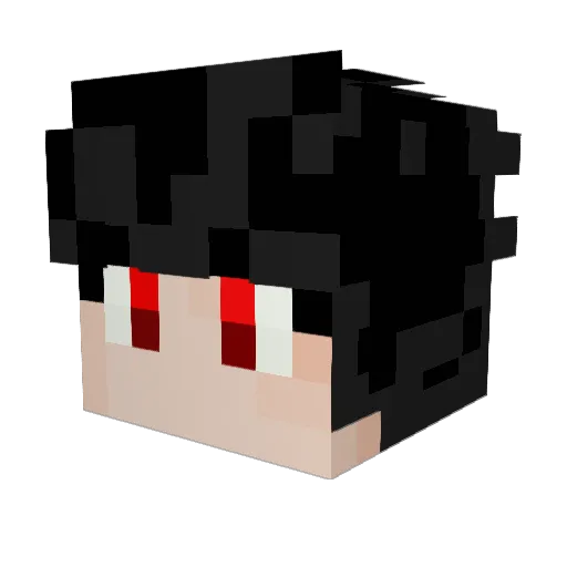 CoPuncH2200 Minecraft avatar head, 3D render