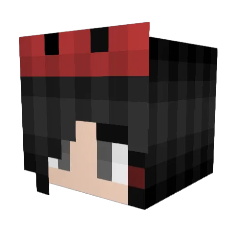 CoRgI121 Minecraft avatar head, 3D render
