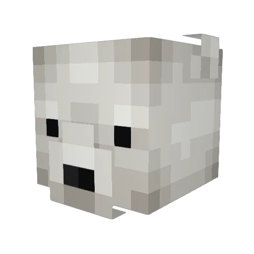 CoRk__ Minecraft avatar head, 3D render