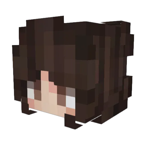 CoStarfish Minecraft avatar head, 3D render