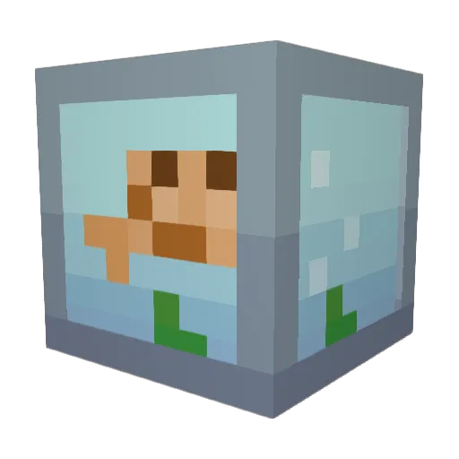 Co_Bot Minecraft avatar head, 3D render