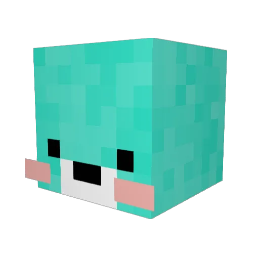Co_Ro Minecraft avatar head, 3D render