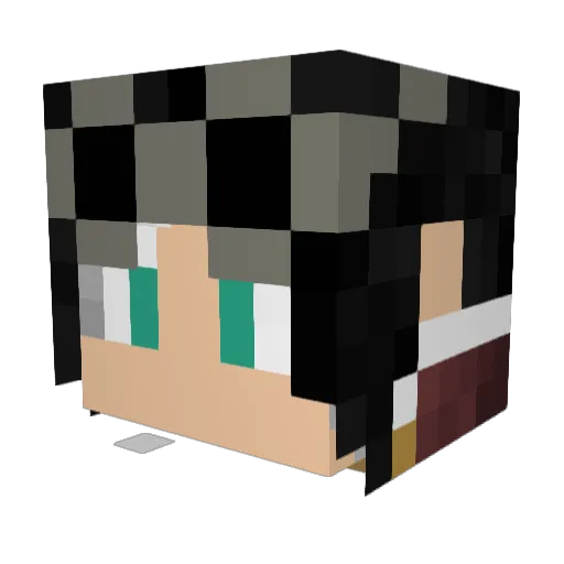 Co_d_e Minecraft avatar head, 3D render