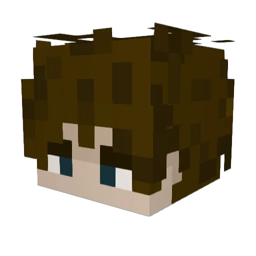 Co_ec Minecraft avatar head, 3D render