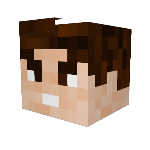 Co_op42 Minecraft avatar head, 3D render