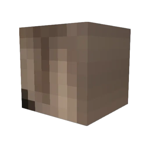 Co_yana Minecraft avatar head, 3D render
