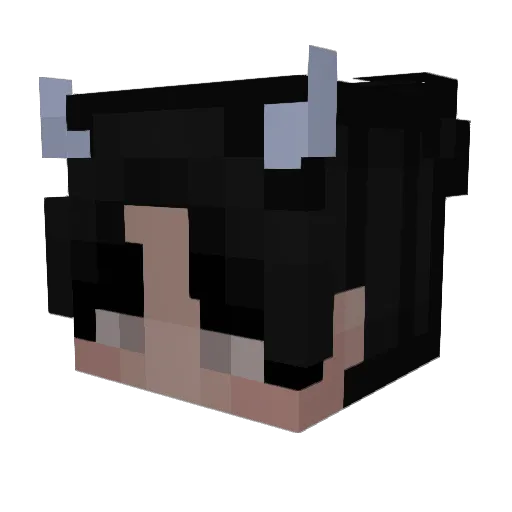 CoaXy Minecraft avatar head, 3D render