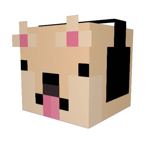 CoachChippy25 Minecraft avatar head, 3D render