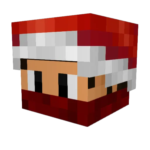 CoachPlays Minecraft avatar head, 3D render