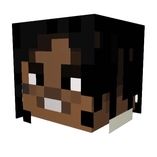 CoachTao Minecraft avatar head, 3D render
