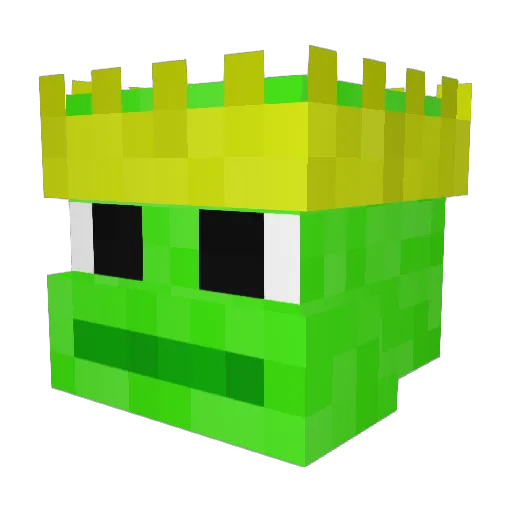 Coach_Faerie Minecraft avatar head, 3D render